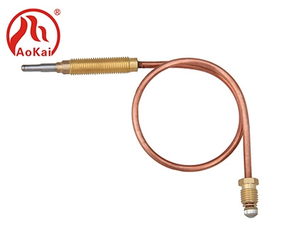 Thermocouple PTE-S38-1-310